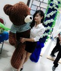 Hình ảnh: Gấu bông teddy giá rẻ tại tp hồ chí minh