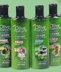 Hình ảnh: Sữa tắm Olive