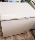 Hình ảnh: tủ đông Alaska 300L, BH 3 THÁNG