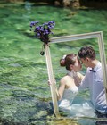 Hình ảnh: Địa điểm thích hợp thực hiện album ảnh cưới dưới nước