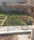 Hình ảnh: Cần tiền bán nhanh trước tết lô đất 41,2m2 tại ngõ 2 Đường Phượng Bãi, Biên Giang, sổ đỏ, giá 450tr