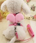 Hình ảnh: Petstar - Dắt yếm thiên thần (có cánh) 18*38cm