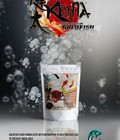 Hình ảnh: Kenta (phục hồI bong bóng và ngừa bệnh)