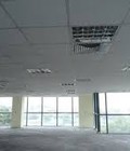 Hình ảnh: Cần cho thuê vp phố Trần Thái Tông 288m2 giá 8usd