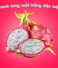 Hình ảnh: Thanh long ruột trắng đặc biệt 100gr