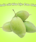 Hình ảnh: Xoài cát Hòa Lộc Cao Lãnh 100gr