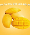 Hình ảnh: Xoài Cát Chu Cao Lãnh Đặc Biệt 100gr