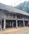Hình ảnh: Cần bán gấp nhà sàn gỗ giổi ở Phổ Yên, Thái Nguyên