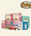Hình ảnh: Natural Choice - Thức ăn hạt nhỏ cho chó lớn vị gà 1.8kg