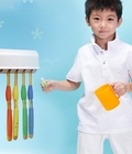 Hình ảnh: Hộp lấy kem đánh răng tự động