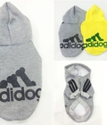 Hình ảnh: Áo Adidas có tay và cổ cho chó