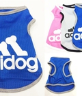 Hình ảnh: Áo thun Adidog cho chó