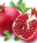 Hình ảnh: Cung cấp cây giống lựu đỏ, cây lựu lùn ấn độ. Cây giống đảm bảo chất lượng giao cây toàn quốc