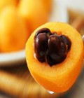 Hình ảnh: Cây giống biwa, cung cấp cây giống chất lượng, địa chỉ cung cấp cây, giao cây toàn quốc