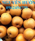Hình ảnh: Cây mắc cọp, cây lê nâu. Địa chỉ cung cấp cây giống, giao cây toàn quốc