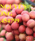 Hình ảnh: Trung tâm cung cấp cây giống vải thiều, vải không hạt số lượng lớn. Giao cây toàn quốc