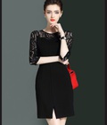 Hình ảnh: Đầm body phối ren TTSP1005
