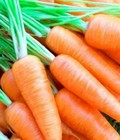 Hình ảnh: Hạt giống cà rốt