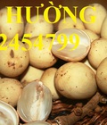 Hình ảnh: Cung cấp cây giống ăn quả, cây bòn bon, cây dâu da đất, cây lòn bon, giao cây toàn quốc