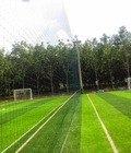 Hình ảnh: giá thảm cỏ  nhân tạo  sân bóng đá 
