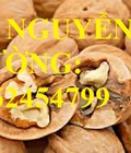 Hình ảnh: Cây óc chó, công dụng quả óc chó, cung cấp số lượng lớn cây giống óc chó giao cây toàn quốc