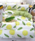 Hình ảnh: Bộ chăn ga gối cotton poly, nhiều mẫu siêu yêu