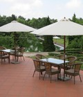 Hình ảnh: Dù cafe màu sắc đa dạng giá rẻ