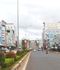 Hình ảnh: Đất mặt phố Cổ Linh kinh doanh quá đẹp, chỉ dành cho đại gia.