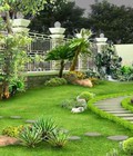 Hình ảnh: cỏ nhân tạo sân vườn giá rẻ