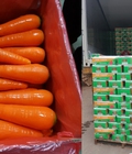 Hình ảnh: Cần bán gấp 600 tấn cà rốt xuất khẩu các size CT Hưng Việt Gia Lộc
