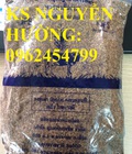 Hình ảnh: Cung cấp giống cỏ Ubon Paspalum, cỏ chịu ngập, cỏ chịu nước, hạt giống cỏ chịu ngập, giao cây toàn