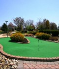 Hình ảnh: công ty cung cấp cỏ nhân tạo sân golf