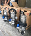 Hình ảnh: Bơm chìm nước thải Ebara 0.75kw, 1.1kw, 2.2kw, 0.25kw