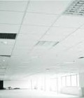 Hình ảnh: Cho thuê văn phòng mặt đường Nguyễn Cơ Thạch giá 10 đô LH:0988.327.963