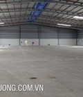 Hình ảnh: Cho thuê kho xưởng tại Cụm CN Cầu Kiền, Hải Phòng DT 2815m2