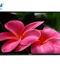 Hình ảnh: Tivi kính cương lực nashinal siêu bền , siêu rẻ
