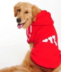 Hình ảnh: Áo thể thao Addidog cho chó lớn