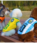 Hình ảnh: Áo cầu thủ năng động cho cún mèo