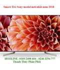 Hình ảnh: Hãy đến với Điện Máy Thành Đô Nơi hội tụ những sản phẩm model mới nhất 2018 Smart Tivi Sony 4K 43 Inch 43X7500F