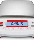 Hình ảnh: Cân điện tử NVT1600/2 Ohaus Mỹ 16000g/1g