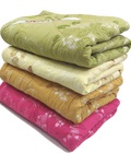 Hình ảnh: Chăn hè cotton chần bông