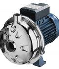 Hình ảnh: Máy bơm nước Ebara Cd 2cdx 0.37kw, 0.75kw, 0.55kw, 1.1kw, 2.2kw