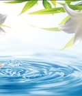 Hình ảnh: tranh 3d giá rẻ
