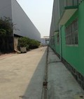 Hình ảnh: Cho thuê xưởng cụm CN Thạnh Phú, Vĩnh Cửu , Đồng Nai 2.500m2, 4.000m2 và 6.500m2