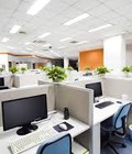 Hình ảnh: Cho thuê văn phòng, văn phòng ảo các quận trung tâm Hà Nội Giá rẻ