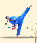 Hình ảnh: Bán võ phục vovinam việt võ đạo giá rẻ