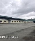 Hình ảnh: Cho thuê kho xưởng tại Nga Sơn Thanh Hóa DT 3020m2