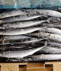 Hình ảnh: Siêu thị cá biển, chuyên bán buôn bán lẻ rẻ nhất hà nội.