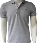 Hình ảnh: Polo Tommy vnxk