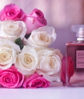 Hình ảnh: Nước hoa màu tình yêu